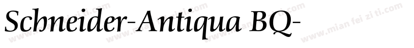Schneider-Antiqua BQ字体转换